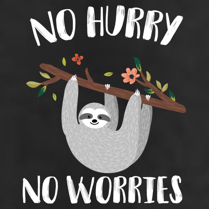 No Hurry No Worries Lazy Sloth Garment-Dyed Heavyweight T-Shirt