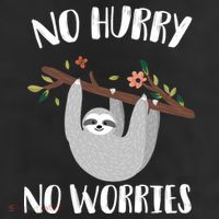 No Hurry No Worries Lazy Sloth 7 Panel Mesh Trucker Snapback Hat