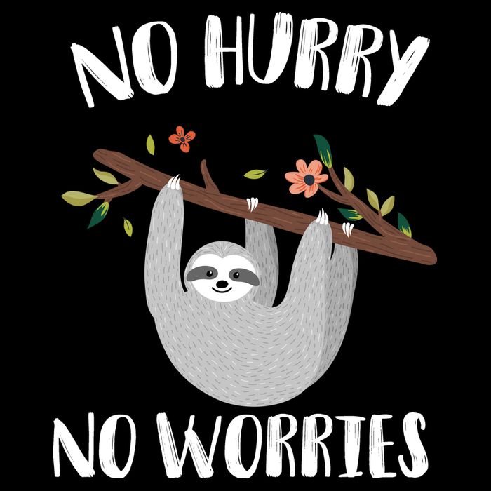 No Hurry No Worries Lazy Sloth Tank Top