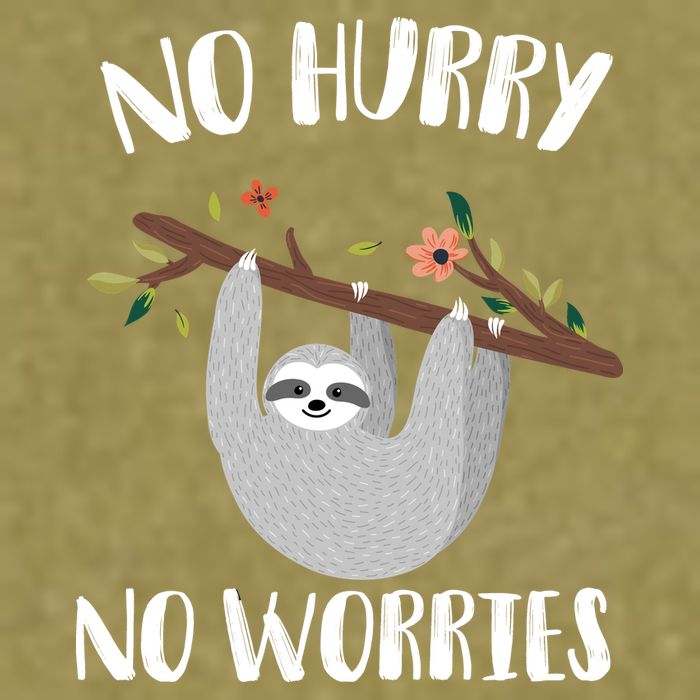 No Hurry No Worries Lazy Sloth Garment-Dyed Women's Muscle Tee