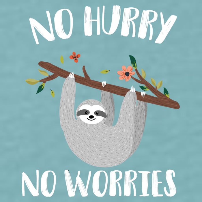 No Hurry No Worries Lazy Sloth Sueded Cloud Jersey T-Shirt