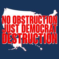 No Obstruction Just Democrat Destruction Flatbill Hat