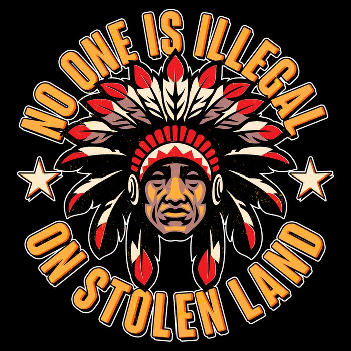 No One is Illegal On Stolen Land Cropped Pullover Crew