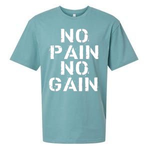 No Pain No Gain Workout Fitness Gym Logo Sueded Cloud Jersey T-Shirt