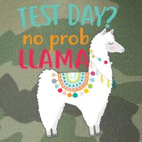 No Probllama Rock The Test Funny Legacy Tie Dye Trucker Hat