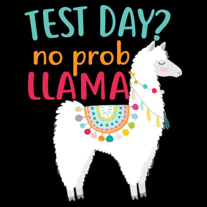 No Probllama Rock The Test Funny 7-Panel Snapback Hat