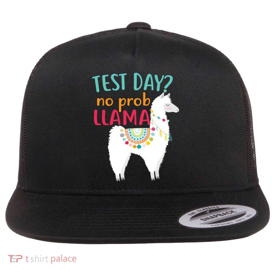 No Probllama Rock The Test Funny Flat Bill Trucker Hat