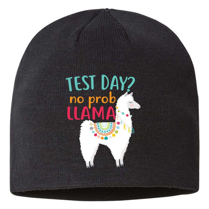 No Probllama Rock The Test Funny Sustainable Beanie