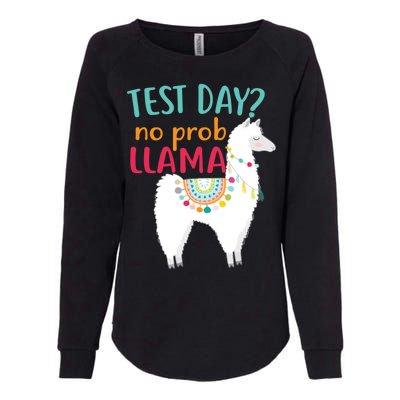 No Probllama Rock The Test Funny Womens California Wash Sweatshirt