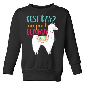 No Probllama Rock The Test Funny Toddler Sweatshirt