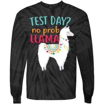 No Probllama Rock The Test Funny Tie-Dye Long Sleeve Shirt