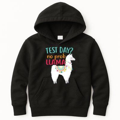 No Probllama Rock The Test Funny Kids Hoodie