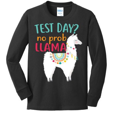 No Probllama Rock The Test Funny Kids Long Sleeve Shirt