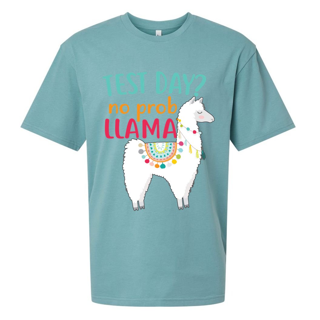 No Probllama Rock The Test Funny Sueded Cloud Jersey T-Shirt