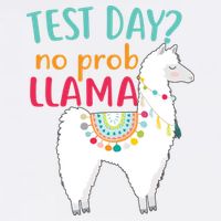 No Probllama Rock The Test Funny Garment-Dyed Sweatshirt