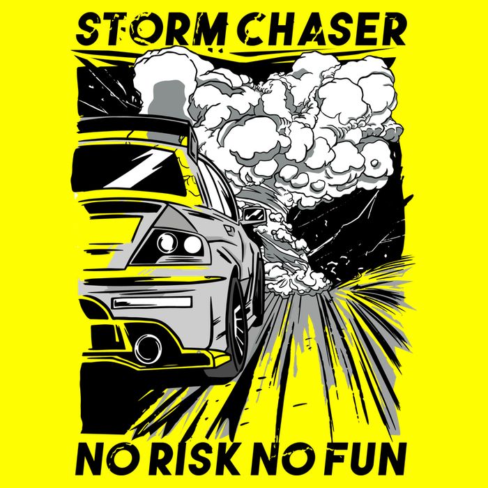 No Risk No Fun Car Racing Women's V-Neck T-Shirt
