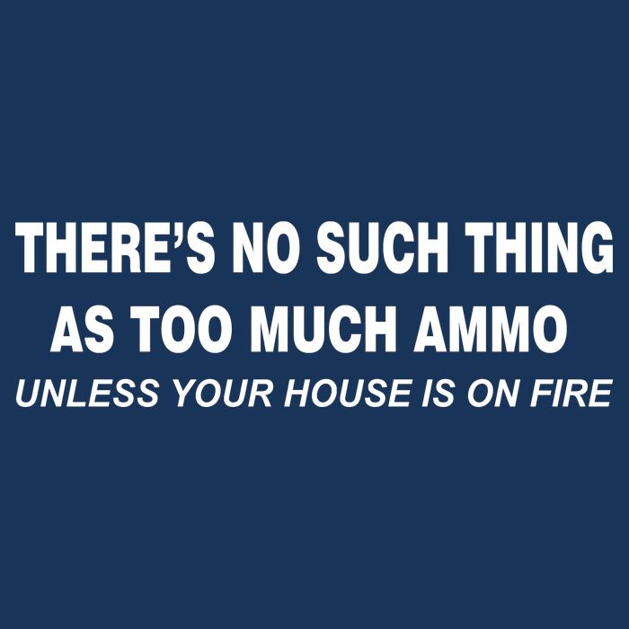 No Such Thing As Too Much Ammo House On Fire Button