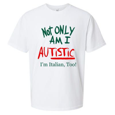 Not Only Am I Autistic IM Italian Too Funny Christmas Idea Sueded Cloud Jersey T-Shirt