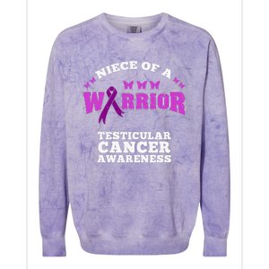 Niece Of A Warrior Testicular Cancer Awareness Colorblast Crewneck Sweatshirt