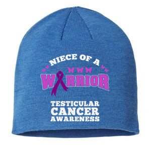 Niece Of A Warrior Testicular Cancer Awareness Meaningful Gift Sustainable Beanie