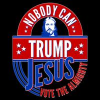 Nobody Can Trump Jesus Vote The Almighty Flatbill Hat