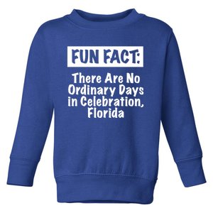 No Ordinary Days In Celebration Florida Pun Fl Joke Gift Toddler Sweatshirt