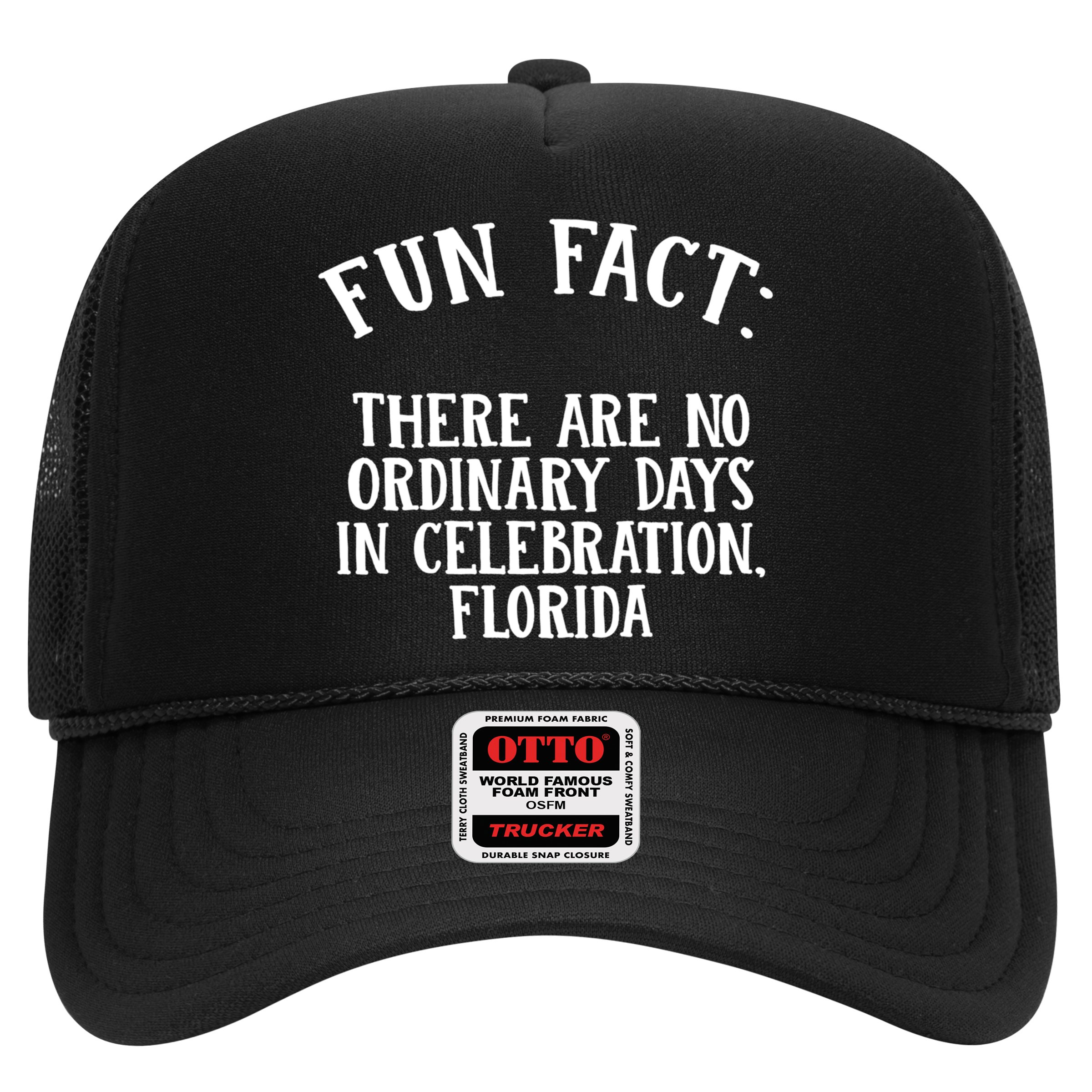 No Ordinary Days In Celebration Florida Pun Fl Joke Cute Gift Hat