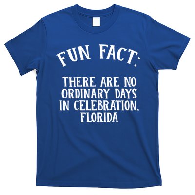 No Ordinary Days In Celebration Florida Pun Fl Joke Cute Gift T-Shirt