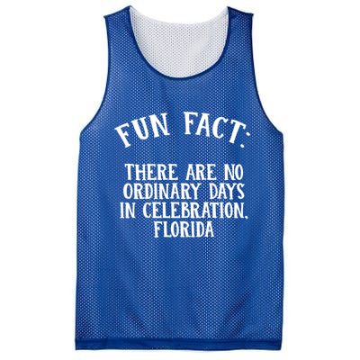 No Ordinary Days In Celebration Florida Pun Fl Joke Cute Gift Mesh Reversible Basketball Jersey Tank