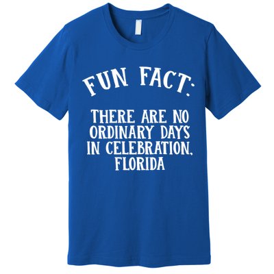No Ordinary Days In Celebration Florida Pun Fl Joke Cute Gift Premium T-Shirt
