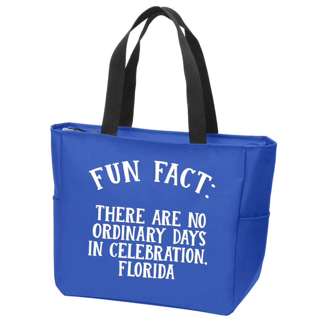 No Ordinary Days In Celebration Florida Pun Fl Joke Cute Gift Zip Tote Bag