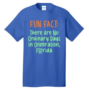 No Ordinary Days In Celebration Florida Pun Fl Joke Meaningful Gift Tall T-Shirt