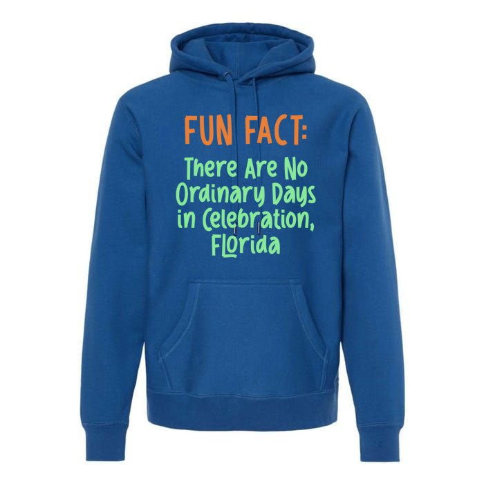 No Ordinary Days In Celebration Florida Pun Fl Joke Meaningful Gift Premium Hoodie