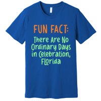 No Ordinary Days In Celebration Florida Pun Fl Joke Meaningful Gift Premium T-Shirt