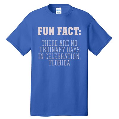 No Ordinary Days In Celebration Florida Pun Fl Joke Gift Tall T-Shirt