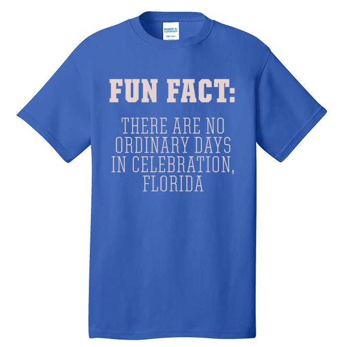 No Ordinary Days In Celebration Florida Pun Fl Joke Gift Tall T-Shirt