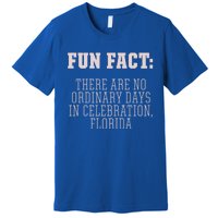 No Ordinary Days In Celebration Florida Pun Fl Joke Gift Premium T-Shirt