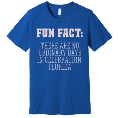 No Ordinary Days In Celebration Florida Pun Fl Joke Gift Premium T-Shirt