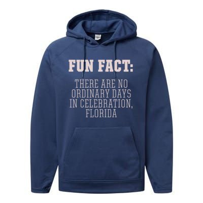 No Ordinary Days In Celebration Florida Pun Fl Joke Gift Performance Fleece Hoodie