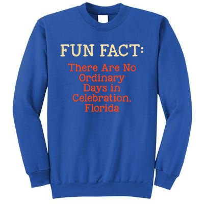 No Ordinary Days In Celebration Florida Pun Fl Joke Gift Sweatshirt