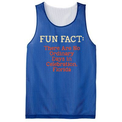 No Ordinary Days In Celebration Florida Pun Fl Joke Gift Mesh Reversible Basketball Jersey Tank