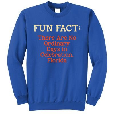 No Ordinary Days In Celebration Florida Pun Fl Joke Gift Tall Sweatshirt