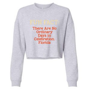 No Ordinary Days In Celebration Florida Pun Fl Joke Gift Cropped Pullover Crew