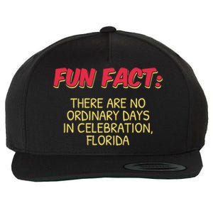 No Ordinary Days In Celebration Florida Pun Fl Joke Gift Wool Snapback Cap