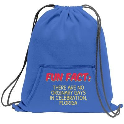 No Ordinary Days In Celebration Florida Pun Fl Joke Gift Sweatshirt Cinch Pack Bag