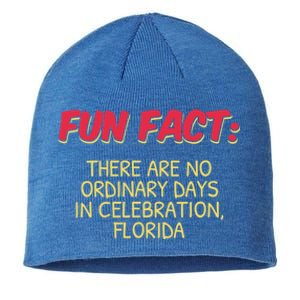 No Ordinary Days In Celebration Florida Pun Fl Joke Gift Sustainable Beanie