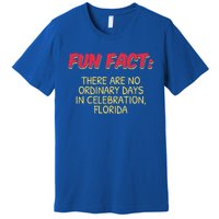 No Ordinary Days In Celebration Florida Pun Fl Joke Gift Premium T-Shirt