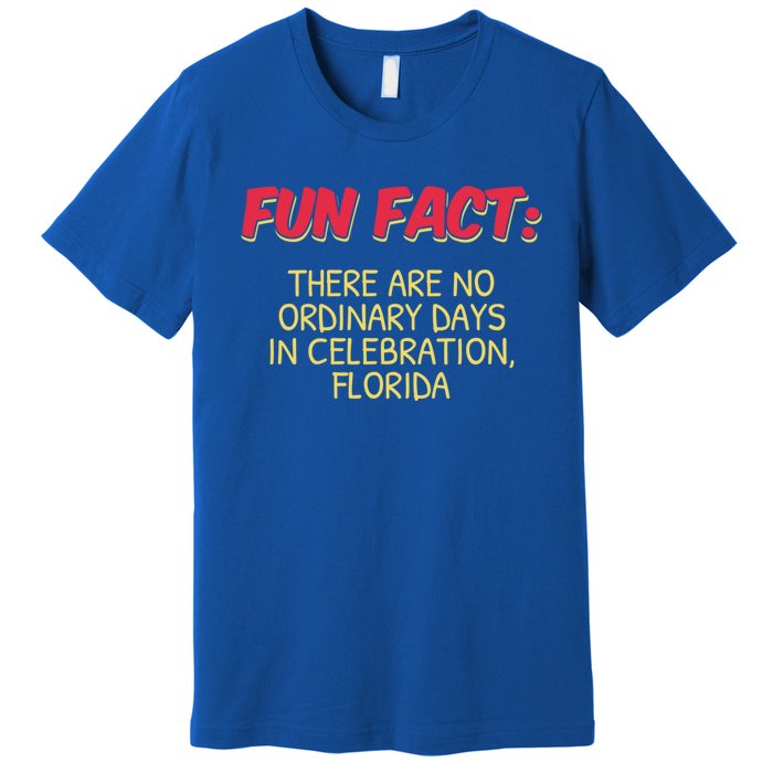 No Ordinary Days In Celebration Florida Pun Fl Joke Gift Premium T-Shirt