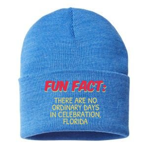 No Ordinary Days In Celebration Florida Pun Fl Joke Gift Sustainable Knit Beanie