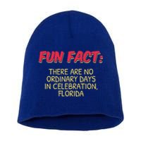 No Ordinary Days In Celebration Florida Pun Fl Joke Gift Short Acrylic Beanie